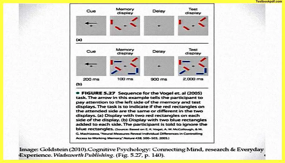 Memory-in-Psychology-Pdf