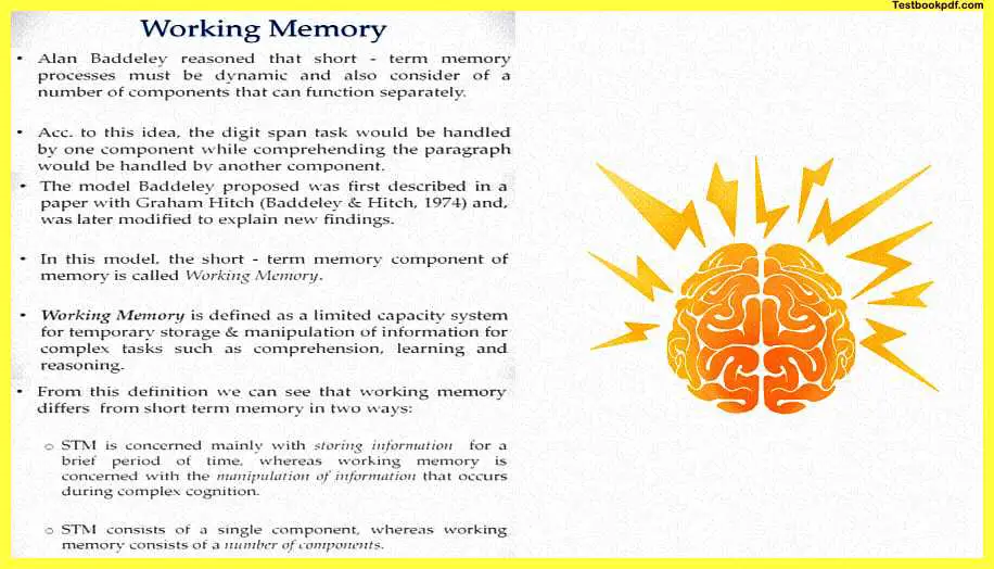 Memory-in-Psychology-Pdf