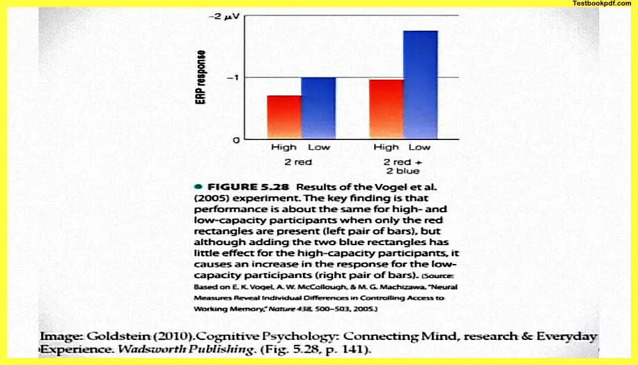 Memory-in-Psychology-Pdf