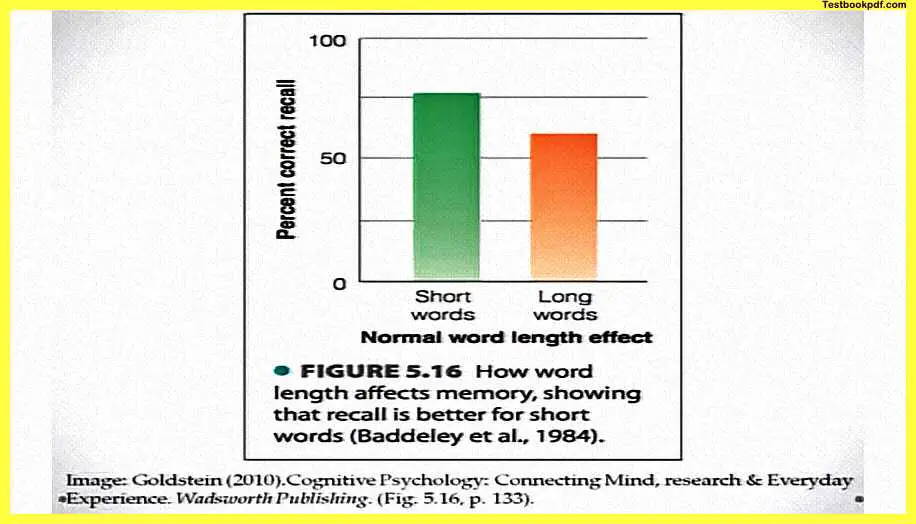 Memory-in-Psychology-Pdf