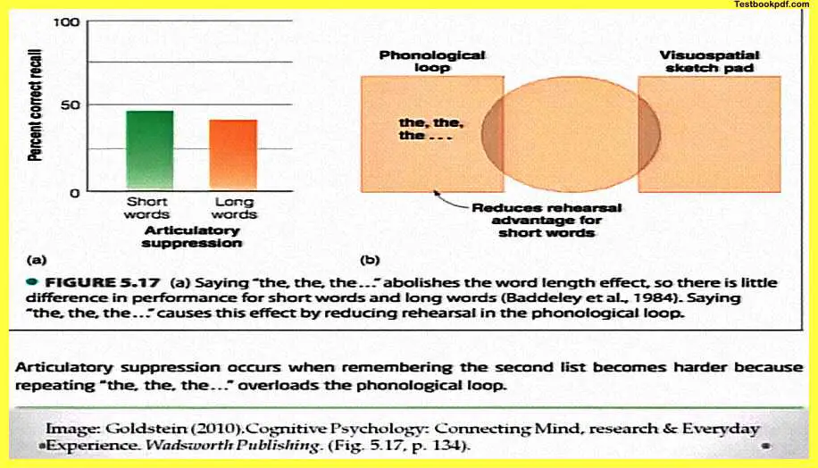 Memory-in-Psychology-Pdf