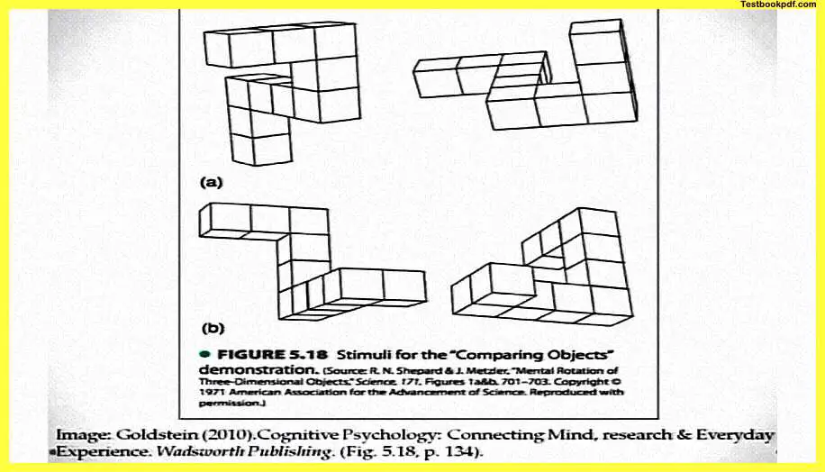 Memory-in-Psychology-Pdf