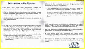Perception-and-Action-Psychology