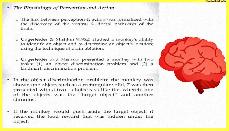 Perception-and-Action-Psychology