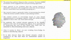 Perception-and-Action-Psychology
