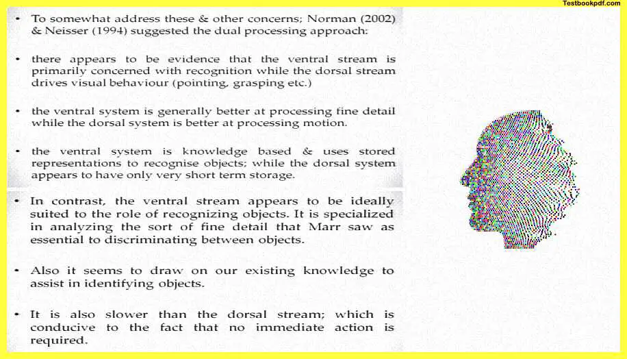 Perception-and-Action-Psychology