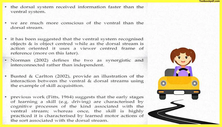 Perception-and-Action-Psychology