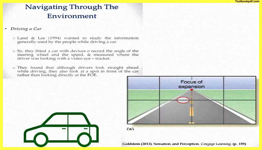 Navigation-Through-The-Environment-Perception-and-Action-Psychology