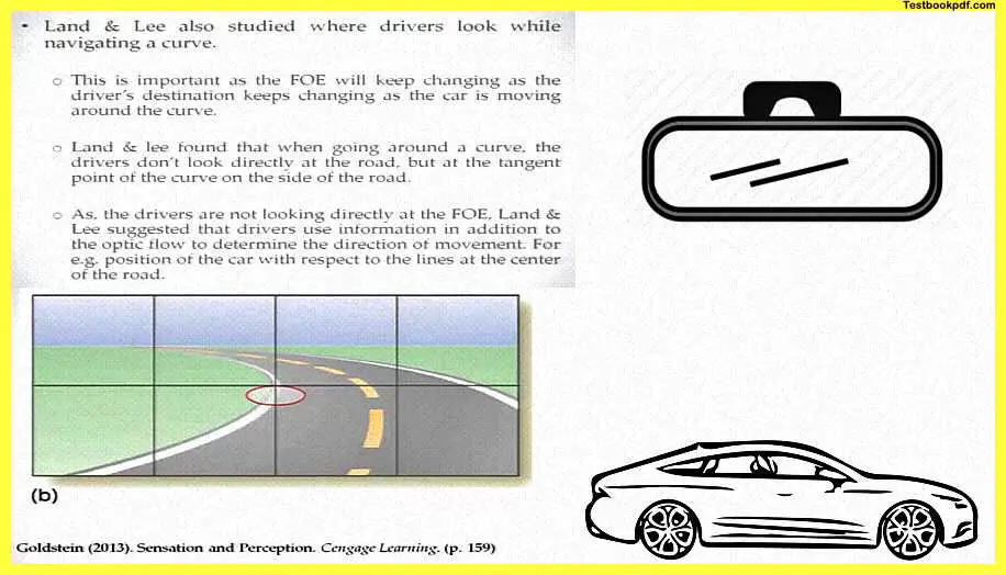 Land-and-Lee-Perception-and-Action-Psychology