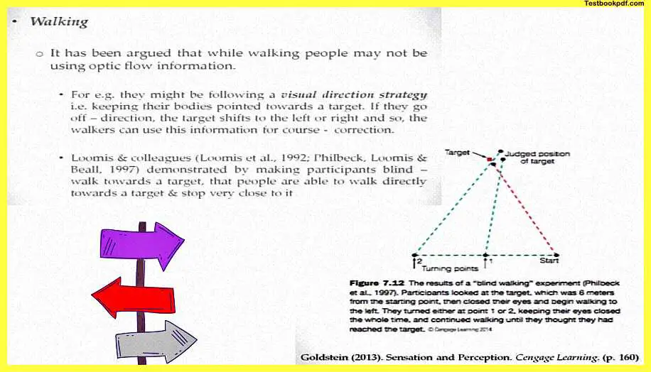 Perception-and-Action-Psychology