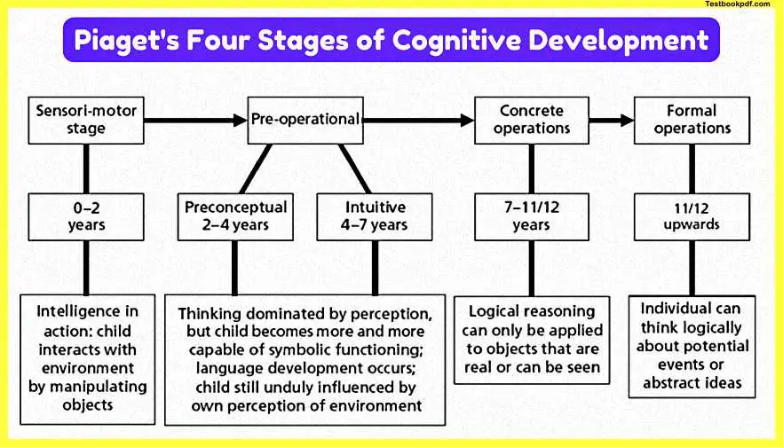 Piaget-four-stages-of-Cognition-Development