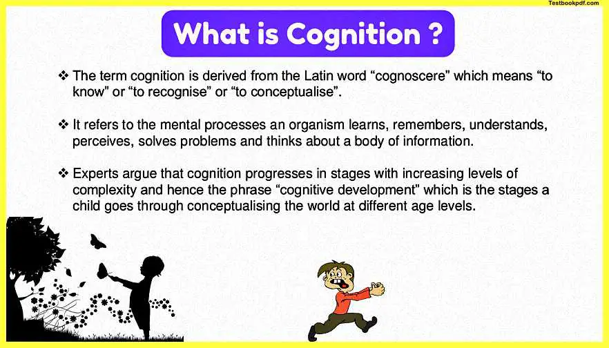 What-is-Cognitionin-Piaget-Theory-of-Development