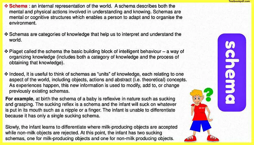 Schema-in-Piaget-Theory-of-Development