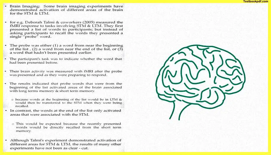 Psychology-Memory-Pdf