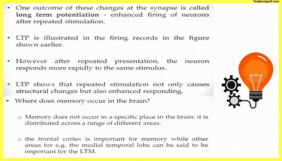 Psychology-and-Human-Memory