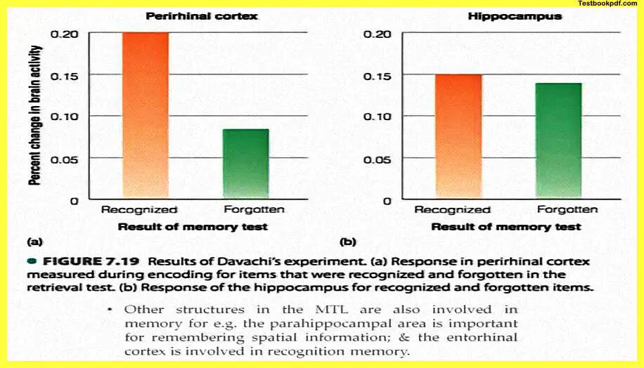 Psychology-and-Human-Memory