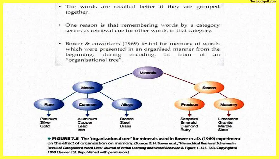 Psychology-and-Memory-Pdf