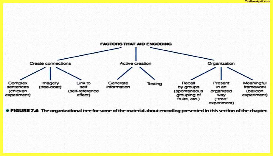 Psychology-and-Memory-Pdf