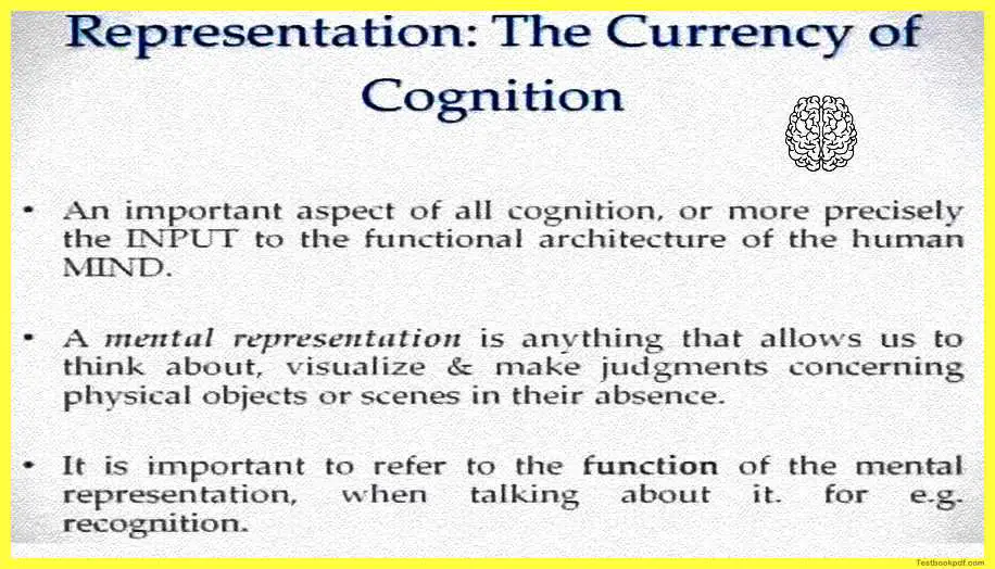 Representation-In-Perception-Psychology