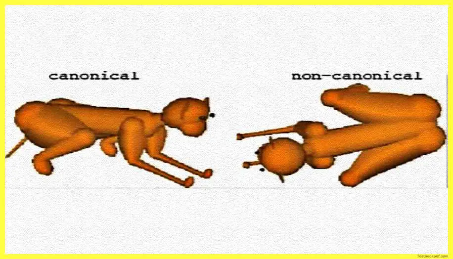 canonical-and-non-canonical-example-Representation-In-Perception-Psychology