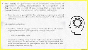 Representation-In-Perception-Psychology