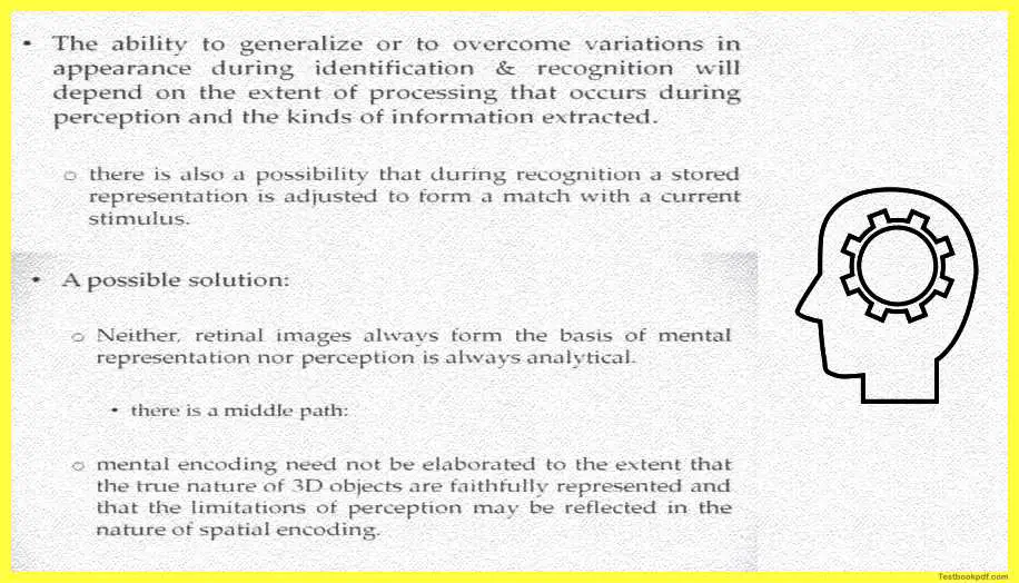 Representation-In-Perception-Psychology