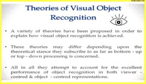 Theories-of-Object-Recognition-Psychology