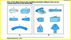 Geons-theory-Theories-of-Object-Recognition-Psychology