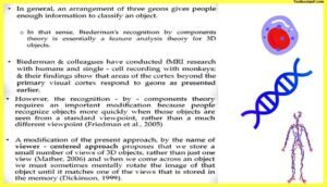 Biederman-and-colleagues-Theories-of-Object-Recognition-Psychology