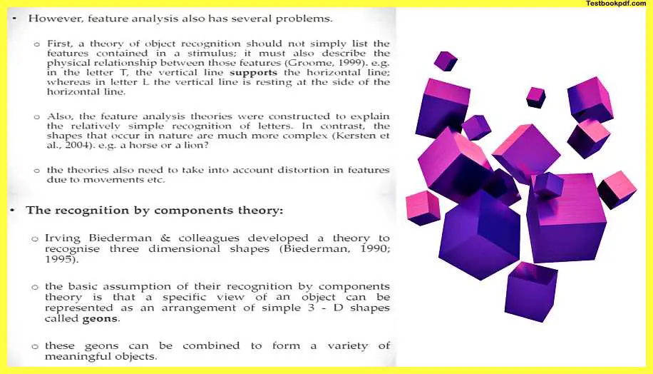 Theories-of-Object-Recognition-Psychology