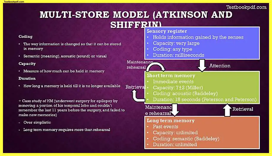 AQA-A-Level-Psychology-Paper-1-Memory-Pdf-Download