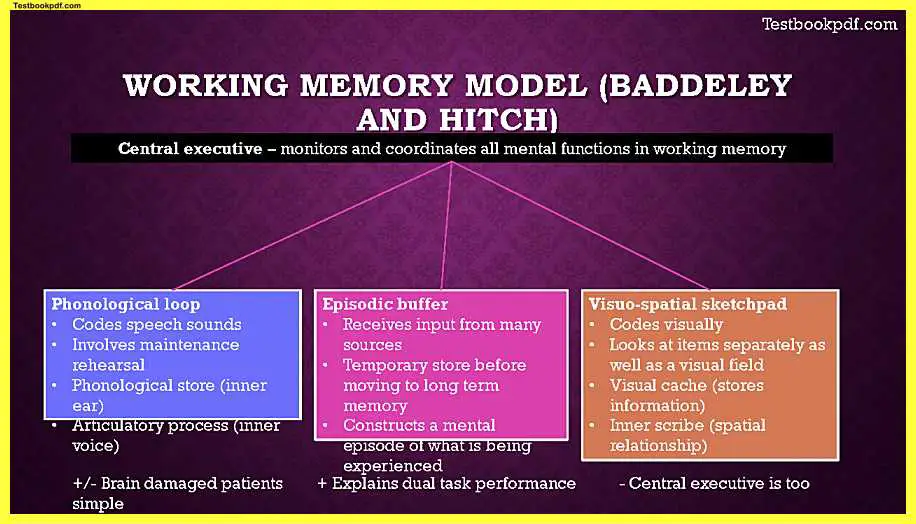 AQA-A-Level-Psychology-Paper-1-Memory-Pdf-Download