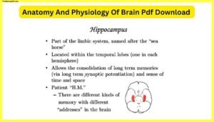 Anatomy-And-Physiology-Of-Brain-Pdf