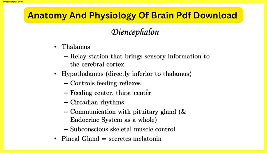 Anatomy-And-Physiology-Of-Brain-Pdf