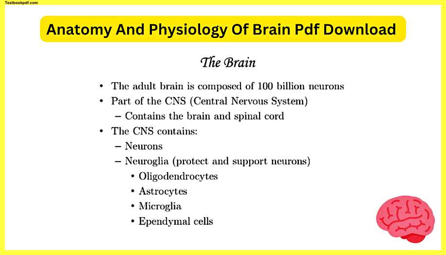 Anatomy-And-Physiology-Of-Brain-Pdf