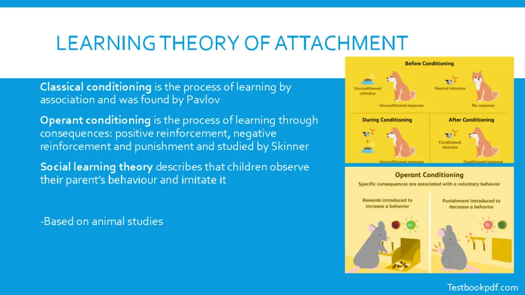 Attachment-Psychology-Paper-1-Pdf-Download