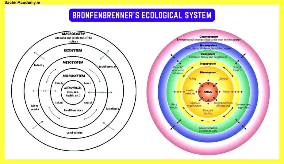 Bronfenbrenner's Ecological Systems Theory