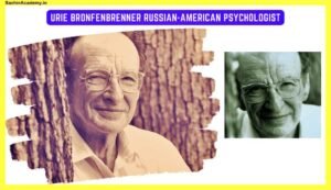 Bronfenbrenner's Ecological Systems Theory