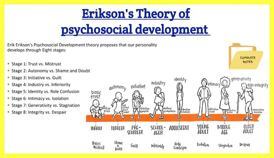 Erik-Erikson-Notes-in-Hindi