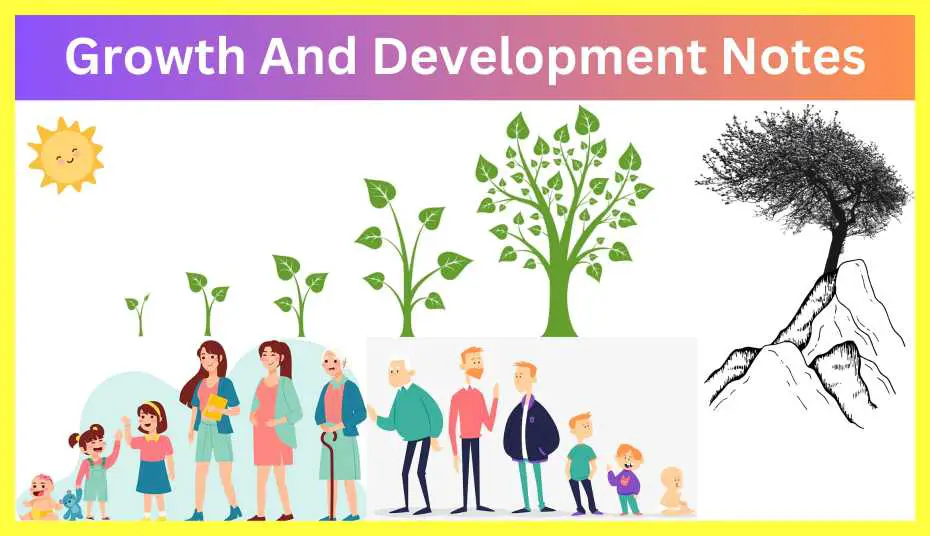 Growth-And-Development-Notes-In-Hindi