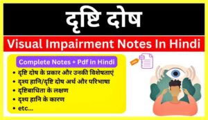 Visual-Impairment-Notes-In-Hindi