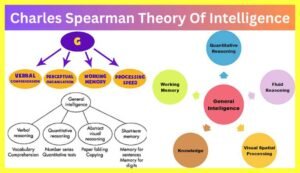 Charles-Spearman-Theory-Of-Intelligence-notes-in-hindi