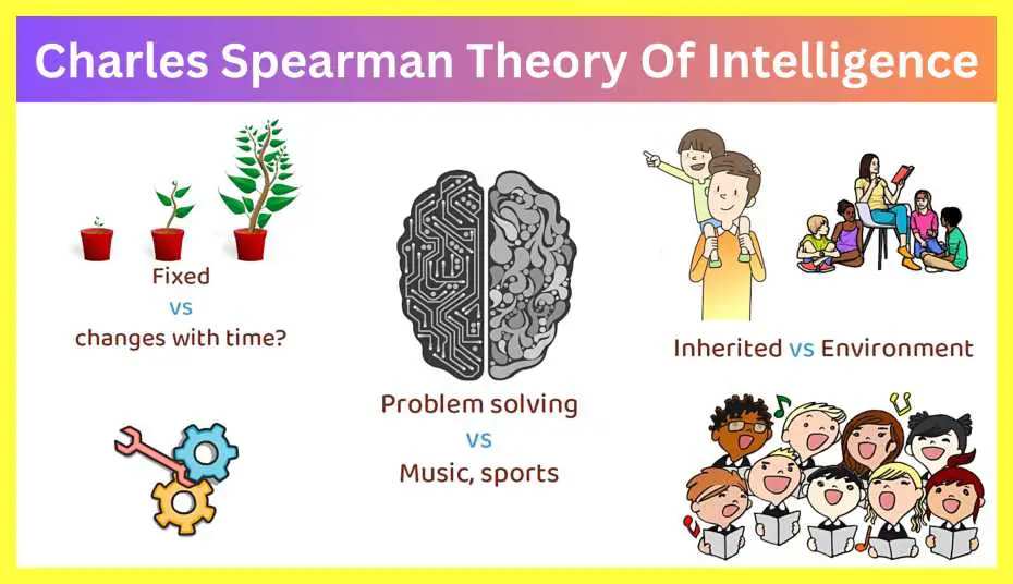 Charles-Spearman-Theory-Of-Intelligence-notes-in-hindi