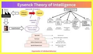 Eysenck-Theory-of-Intelligence