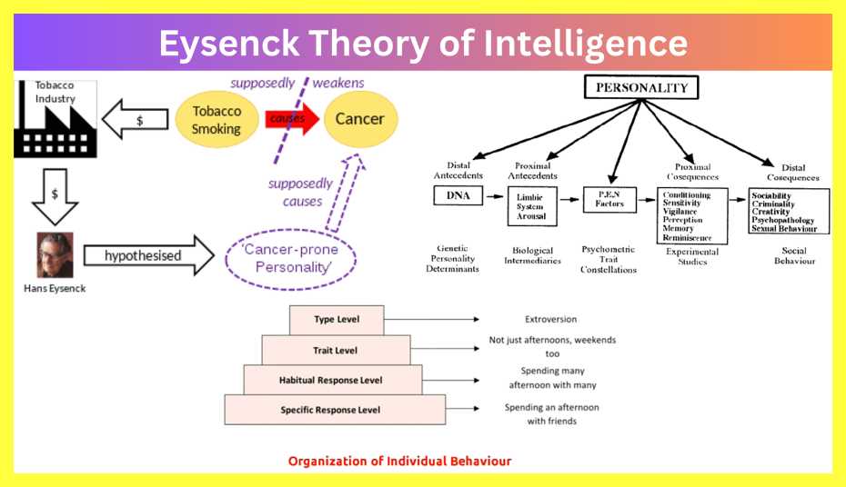 Eysenck-Theory-of-Intelligence