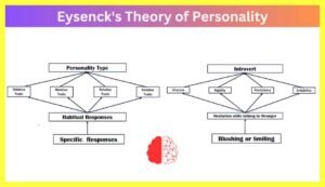 Eysenck-Theory-of-Intelligence