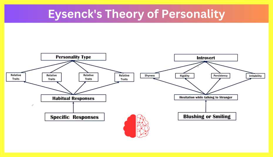 Eysenck-Theory-of-Intelligence