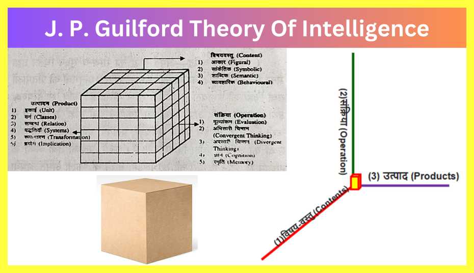 Guilford-Theory-Of-Intelligence-Notes-In-Hindi