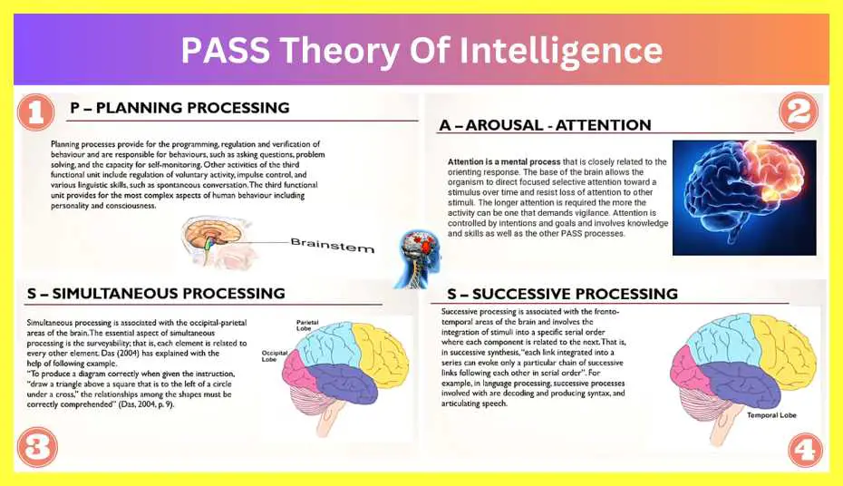 PASS-Theory-Of-Intelligence-Notes-In-Hindi