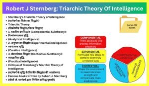 Robert-J-Sternberg-Theory-Of-Intelligence-In-Hindi-PDF-Notes